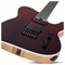 SCHECTER PT SLS ELITE BLOODBURST BB - Электрогитара PT SLS ELITE BLOODBURST BB
