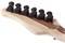 SCHECTER PT SLS ELITE BLOODBURST BB - Электрогитара PT SLS ELITE BLOODBURST BB