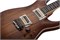 SCHECTER C-1 EXOTIC SPALTED MAPLE SNVB - Электрогитара C-1 EXOTIC SPALTED MAPLE SNVB