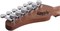 SCHECTER NICK JOHNSTON PT A.FROST - Электрогитара NICK JOHNSTON PT A.FROST