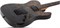 SCHECTER PT STANDARD BLACK FADE BURST BURL BFBB - Электрогитара PT STANDARD BLACK FADE BURST BURL BFBB