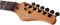 SCHECTER PT STANDARD BLACK FADE BURST BURL BFBB - Электрогитара PT STANDARD BLACK FADE BURST BURL BFBB
