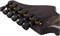 SCHECTER REAPER-6 ELITE BLOOD BURST BB - Электрогитара REAPER-6 ELITE BLOOD BURST BB