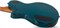 SCHECTER SOLO-II STANDARD OCEAN BLUE BURST OBB - Электрогитара SOLO-II STANDARD OCEAN BLUE BURST OBB