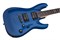 SCHECTER C-1 SGR BY SCHECTER EB - Электрогитара C-1 SGR BY SCHECTER EB