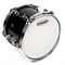 Evans B16G1 G1 Coated Пластик для том и тимбалес барабана 16" B16G1
