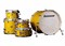 Ludwig LCEM52205 Evolution Maple PRO Барабанная установка, золото, (4 коробки) LCEM52205