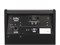 Soundking DS200 Монитор для электронной ударной установки, 200Вт DS200