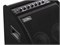 Soundking DS200 Монитор для электронной ударной установки, 200Вт DS200