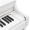 Casio Celviano AP-300WE Цифровое пианино, белое AP-300WE-1
