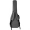 JET JS-30 Ash - электрогитара, Stratocaster, серия Elite, JS-30 ASH