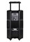 Gemini GSP-2200 - Активная акустическая система GSP-2200