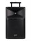 Gemini GSP-2200 - Активная акустическая система GSP-2200
