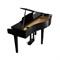 KAWAI DG30 EP - цифровое пианино, банкетка, 88 кл, молоточк. мех-ка, цвет черный полиров. DG30 EP