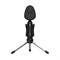 BEHRINGER BV4038 - конденсаторный USB-микрофон, суперкардиоида, 50 Гц – 17 кГц, 16 бит / 48 кГц BV4038-1