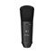 BEHRINGER B-1 DARK EDITION - студийный микрофон с большой диафрагмой (в черном цвете) B-1 DARK EDITION