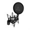 BEHRINGER TM1 - студийный конденсаторный микрофон с большой мембраной TM1