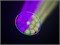 INVOLIGHT FXWASH1940IP - прожектор полного вращения (WASH), LED RGBW 19x40Вт, DMX512, IP65 FXWASH1940IP