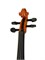 Mirra VB-290-1/2 Скрипка 1/2 в футляре со смычком VB-290-1/2