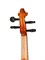 Mirra VB-290-1/2 Скрипка 1/2 в футляре со смычком VB-290-1/2