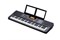 Medeli MK200 Синтезатор, 61 клавиша MK200
