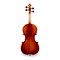 Soundsation ORC-44 Virtuoso Orchestra Скрипка 4/4, с футляром и смычком ORC-44-1