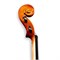 Soundsation ORC-44 Virtuoso Orchestra Скрипка 4/4, с футляром и смычком ORC-44-1