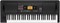 KORG EK-50 L аранжировочная станция, чёрный EK-50 L