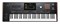 KORG PA5X-61 многофункциональная аранжировочная станция, 61 клавиша, 160 голосов, 2200+ звуков PA5X-61