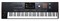 KORG PA5X-76 аранжировочная станция PA5X-76