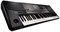 KORG Pa600 аранжировочная станция, 61 клавиш, чёрный Pa600