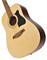 IBANEZ PF15-NT акустическая гитара, дредноут, 6 струн, натуральный PF15-NT