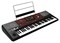 KORG Pa700-OR аранжировочная станция, чёрный Pa700-OR
