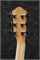 IBANEZ AEG7MH-OPN электроакустическая гитара, фолк, 6 струн, натуральный AEG7MH-OPN