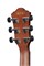 IBANEZ AEWC11-DVS электроакустическая гитара с вырезом, цвет - тёмный санбёрст AEWC11-DVS