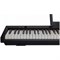 ARAMIUS APS-110 BK - Пианино цифровое компактное APS-110 BK