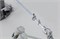 TAMA TMR1000 MIRROR ROD карданный вал для двойных педалей карданный вал TMR1000 MIRROR ROD карданный вал для двойных педалей