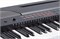 Medeli SP4200-BK Цифровое пианино, без стойки, черное SP4200-BK