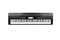 Medeli SP4200-BK Цифровое пианино, без стойки, черное SP4200-BK