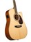 Root Note RD300CE-NS Электроакустическая гитара, цвет натуральный матовый RD300CE-NS