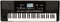 KORG Pa300 аранжировочная станция, 61 клавиш, чёрный Pa300-1