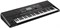 KORG Pa300 аранжировочная станция, 61 клавиш, чёрный Pa300-1
