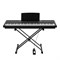Emotive Hammerpiano 1 BK цифровое пианино, 88 клавиш, черный Hammerpiano 1 BK