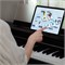 Casio AP-S200BK Celviano Цифровое пианино со стойкой и педалями, черное AP-S200BK-1