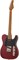SCHECTER PT SPECIAL SCAR - Электрогитара PT SPECIAL SCAR